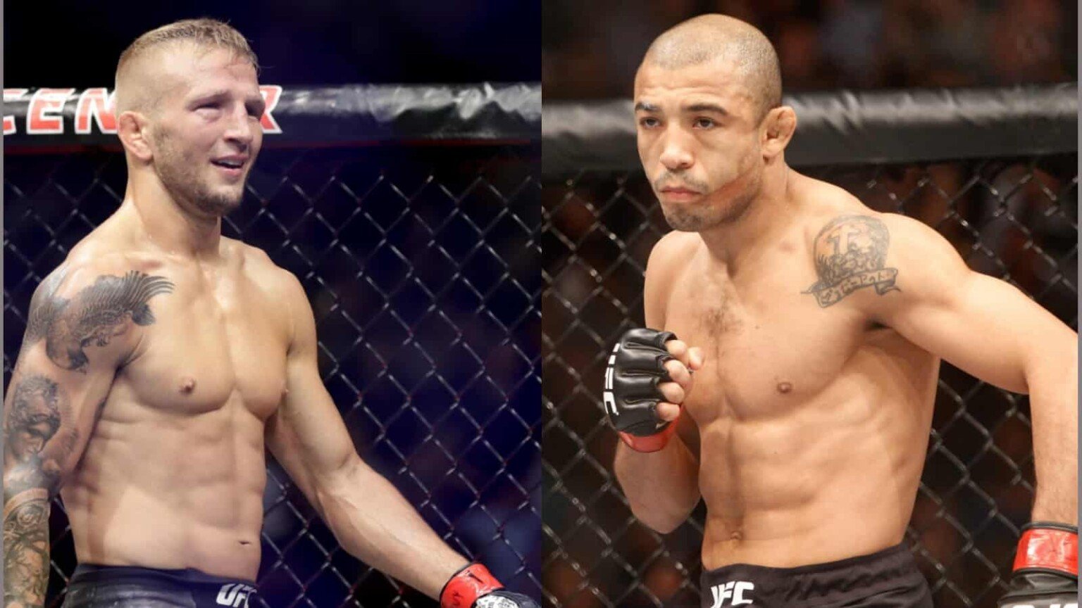 Tj Vs Aljo Is The Fight To Make Urijah Faber Makes Case For Tj