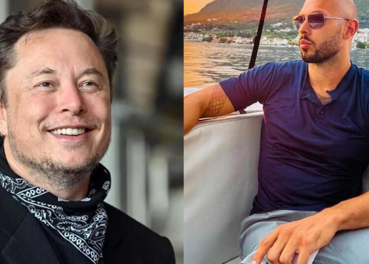 Multi Billionaire Elon Musk Drops Cryptic Matrix Tweet Following