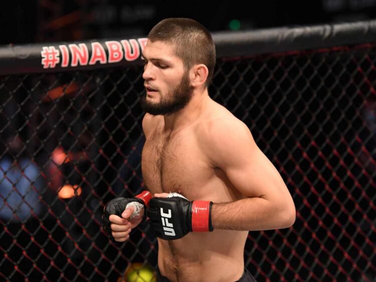 Khabib Nurmagomedov Fight Record How Many Fights Has The Eagle Lost