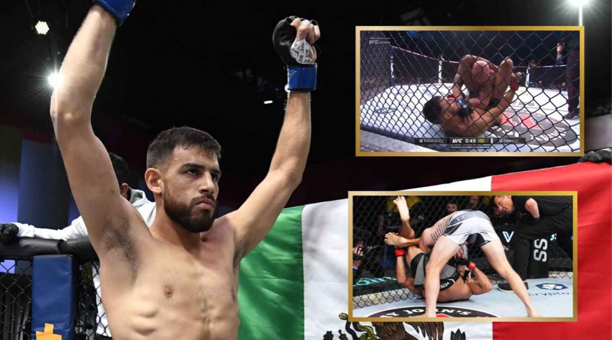 Yair Rodriguez won the interim featherweight title via submission