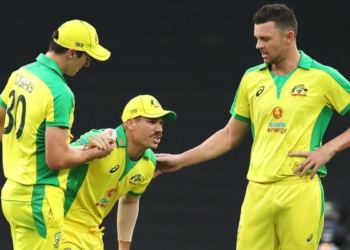 David Warner injury