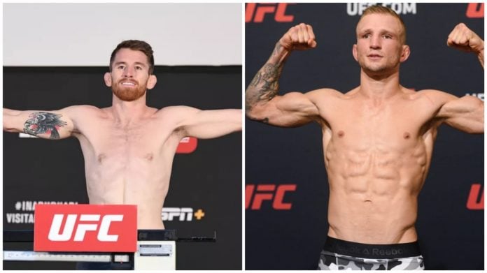 sandhagen tj dillashaw