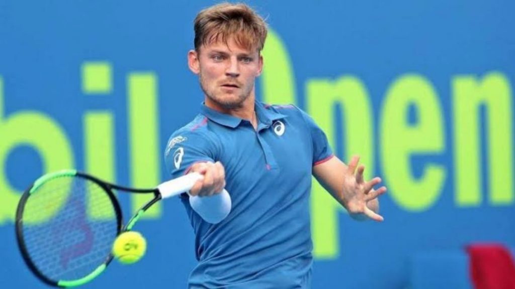 David Goffin 