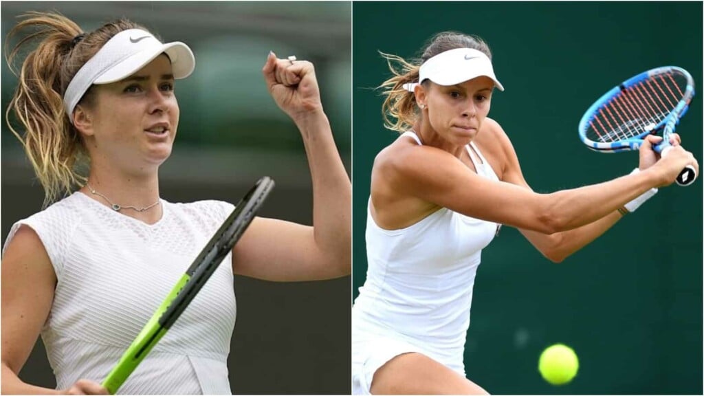 Danielle Collins Vs Magda Linette Head To Head Our Bold Prediction - 356jey1