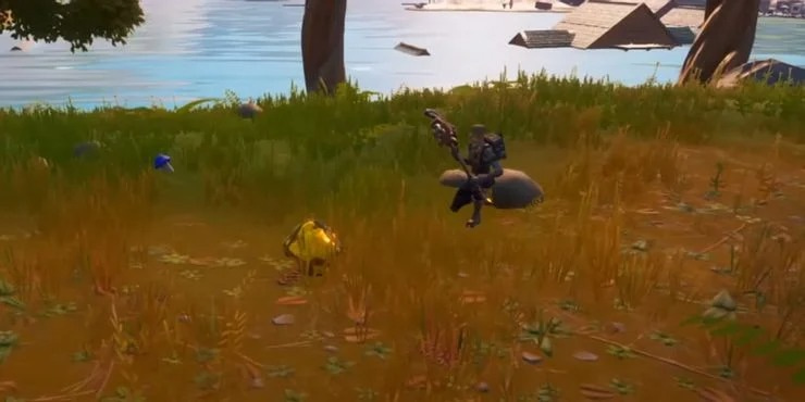 Fortnite Golden Mushroom Where And How To Find The Rare Golden