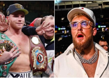 Jake Paul Canelo Alvarez