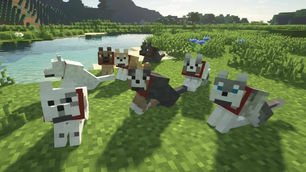 Pet Dog in Minecraft (1) Pet Dog in Minecraft
