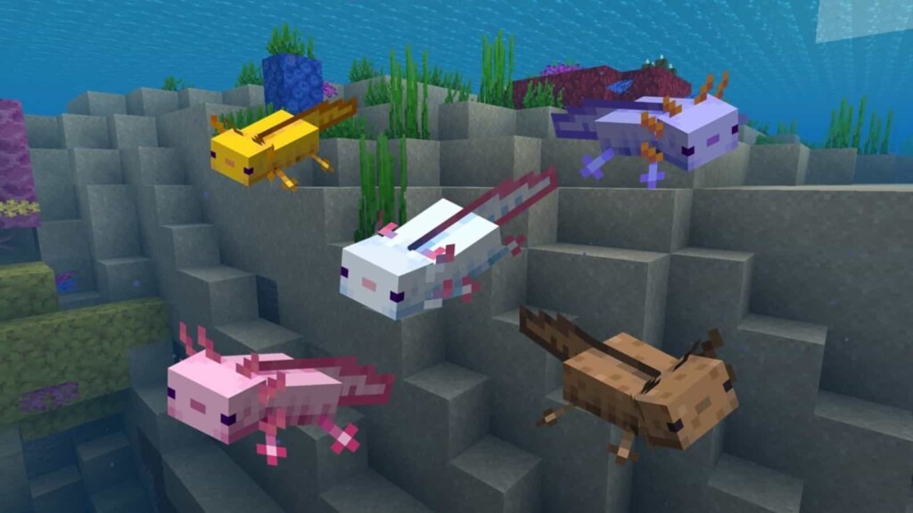 Top 5 Popular Animals in Minecraft and how to breed them! – FirstSportz