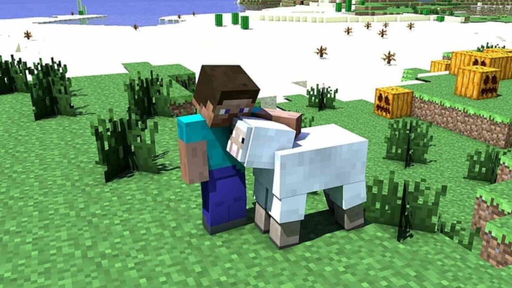 Sheep in Minecraft