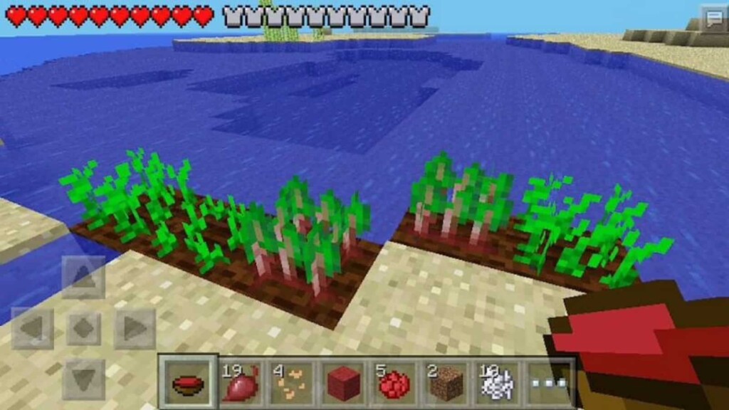 Beetroot Soup in Minecraft