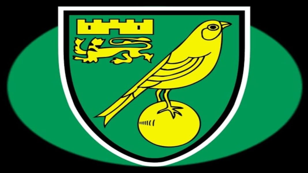 IMG-20210702-WA0222_copy_1600x900 Who Is The Owner of Norwich City FC?
