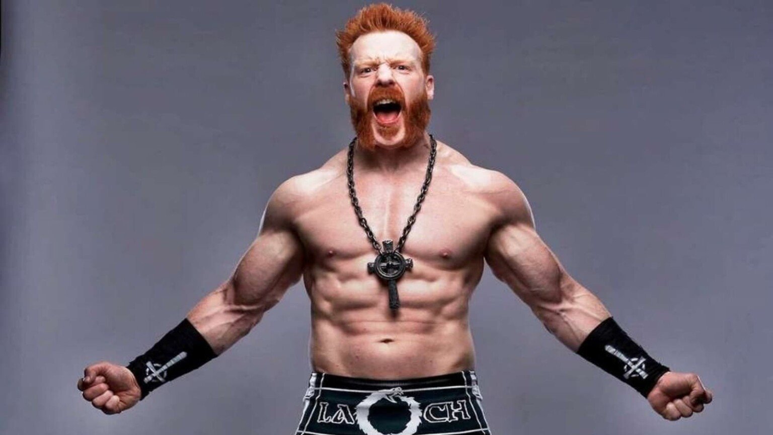 Sheamus Net Worth in 2024: How rich is The Celtic Warrior?