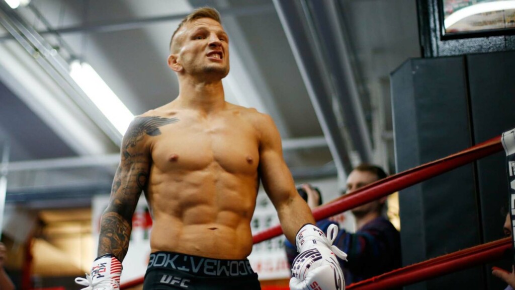 TJ Dillashaw Net Worth, MMA Career, Income, Personal life, massive ...