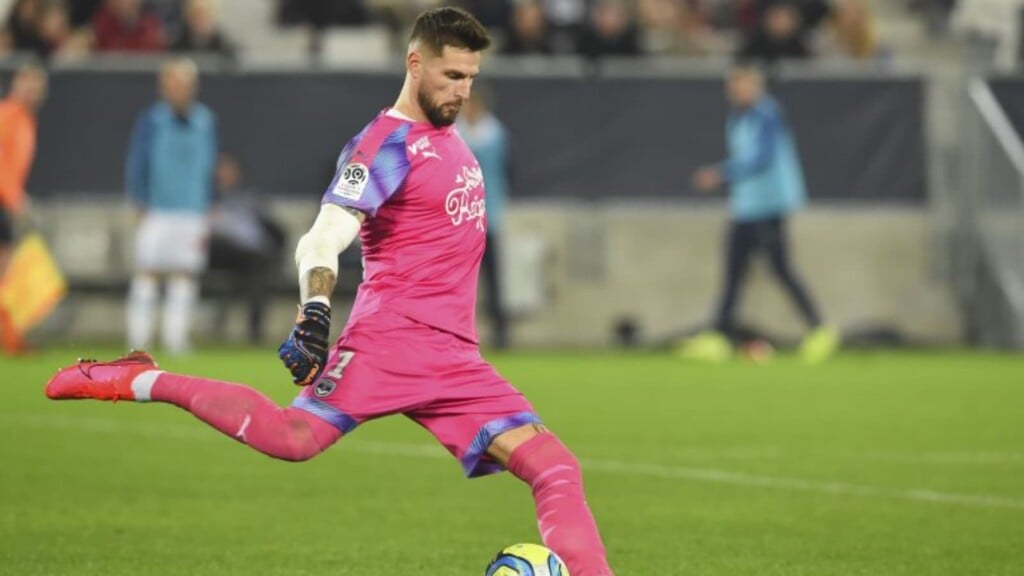 Top 5 Goalkeepers in Ligue 1
