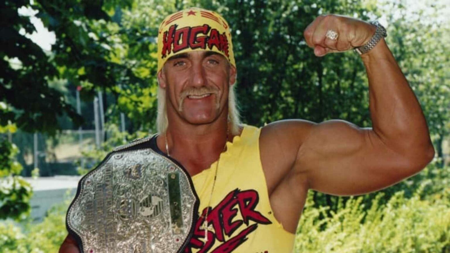 How many championships has Hulk Hogan won in WWE? What are his