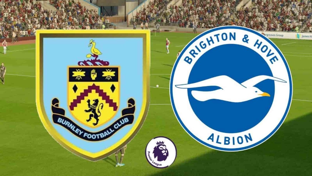 Premier League: Burnley vs Brighton Live Stream, Preview ...