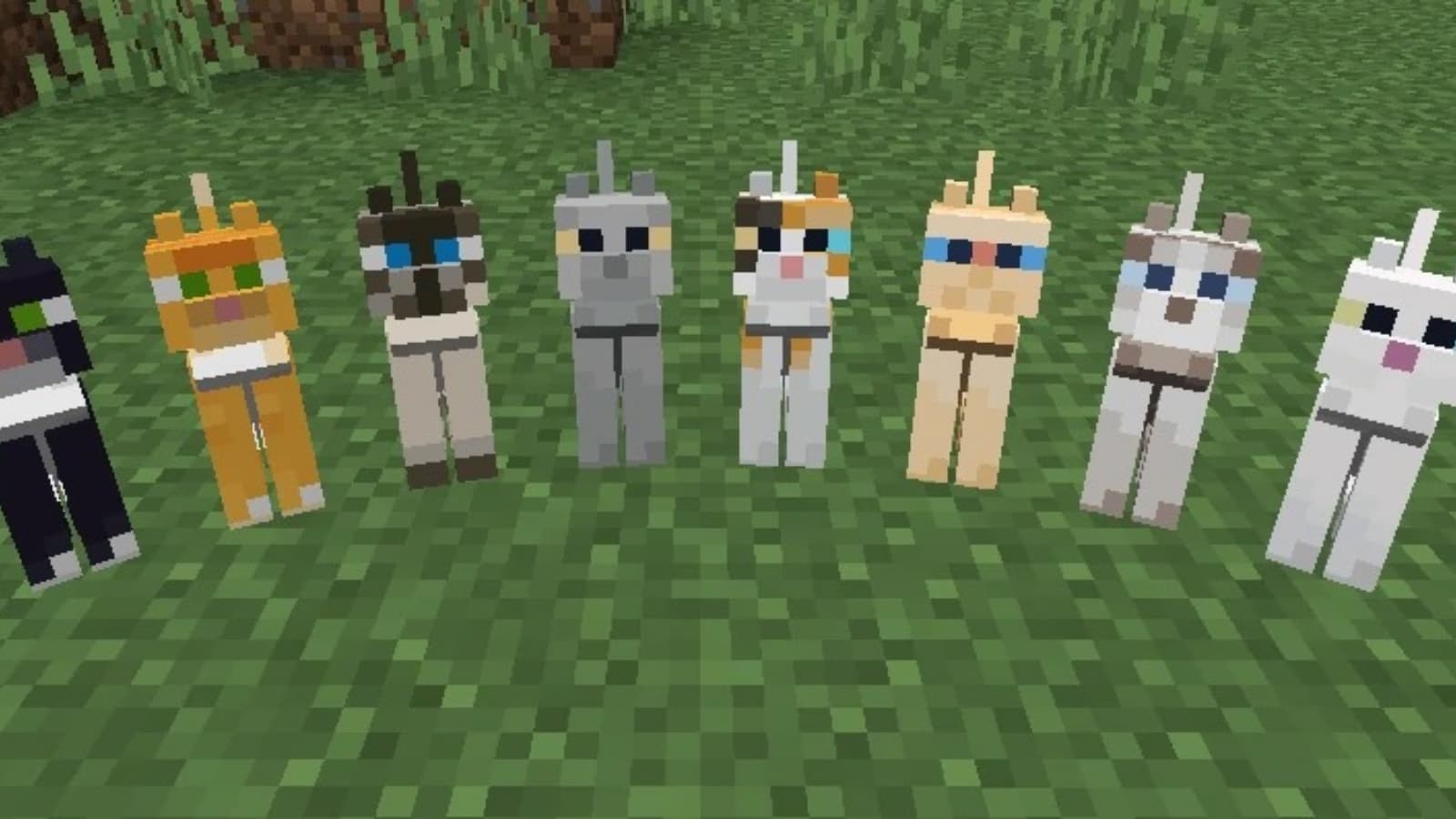 How to breed Cats in Minecraft?