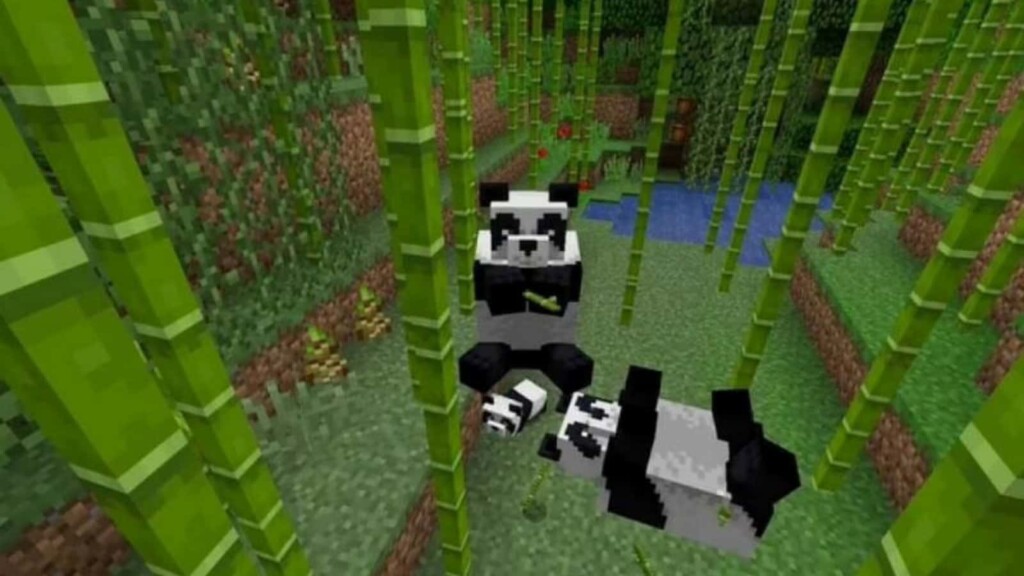 How to breed Pandas in Minecraft