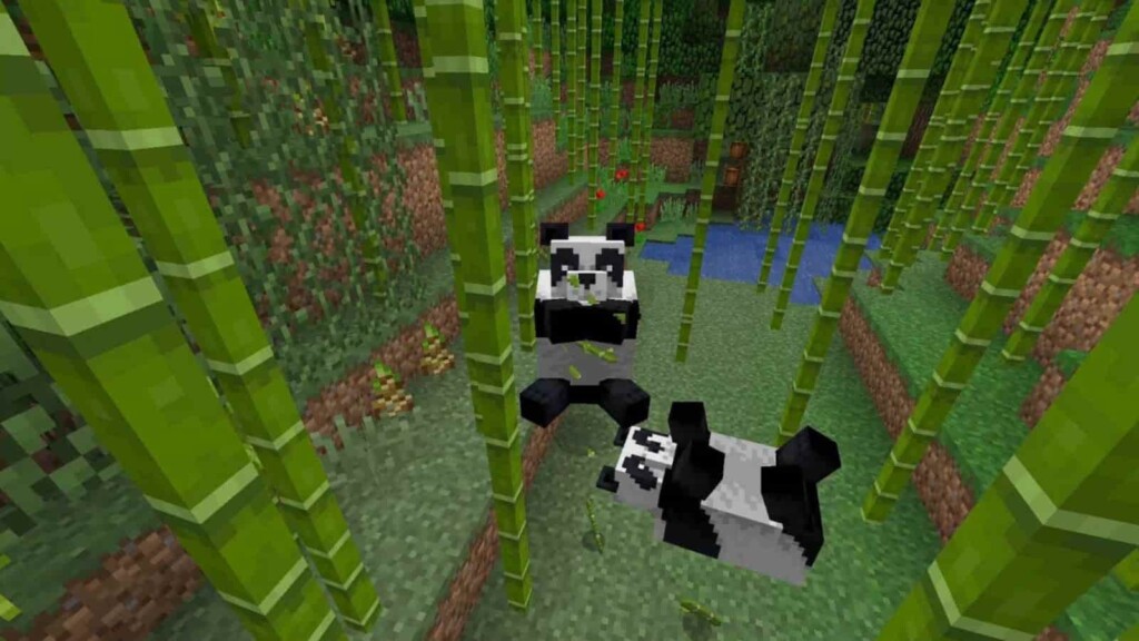 Minecraft Bamboo: Location, how to grow, uses and more!