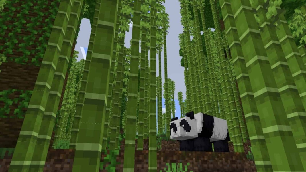 Growing Bamboo Minecraft