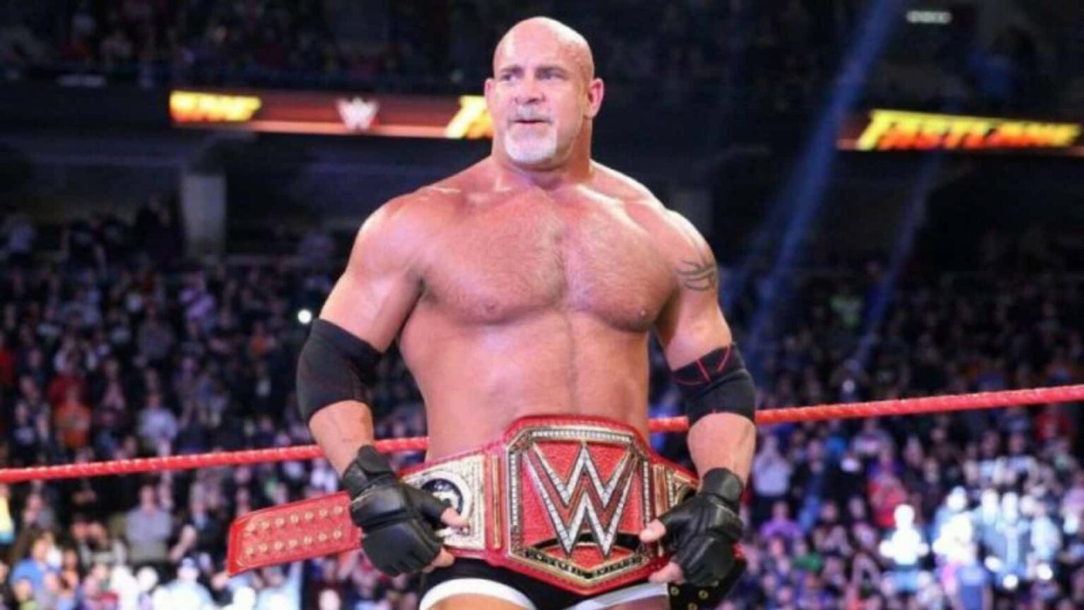 Goldberg Net Worth, Income, WWE Career, Personal Life, and more