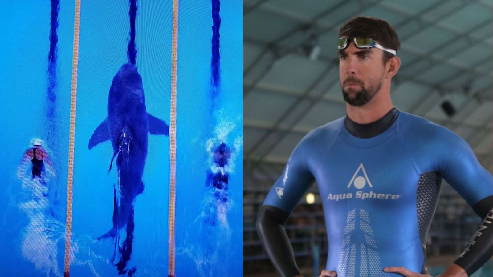 A glimpse of ‘Phelps vs. Shark: Great Gold vs. Great White’ event