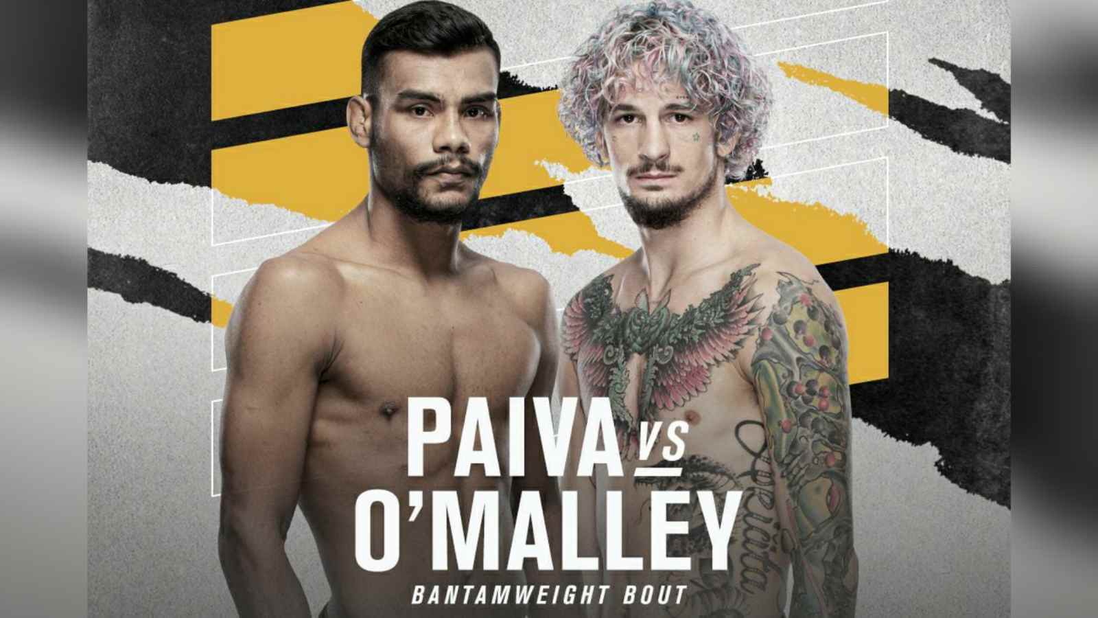 UFC 269: Raulian Paiva vs Sean O Malley Prediction, Odds, and Fight Preview  » FirstSportz