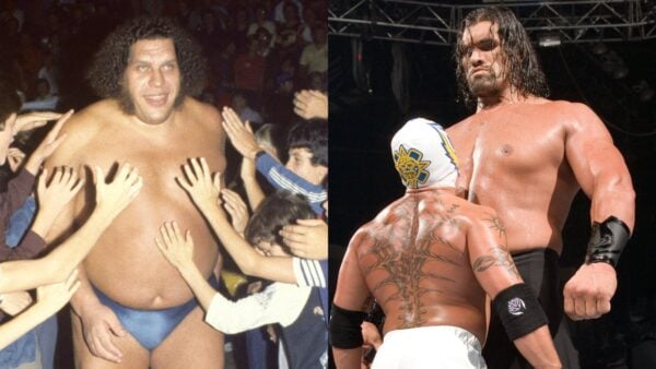 Top 5 WWE giants