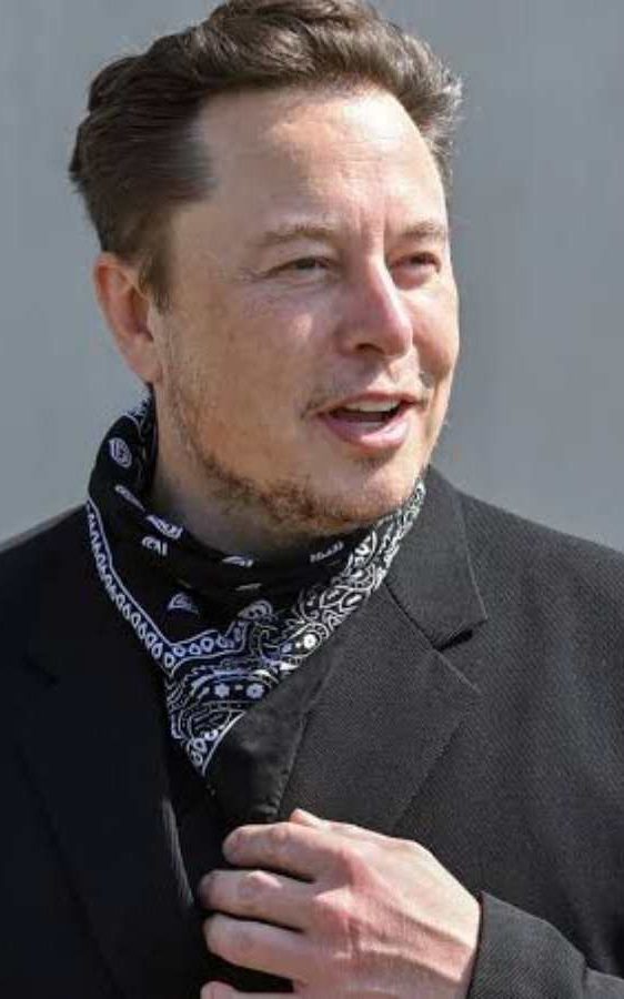 Elon Musk and Formula 1