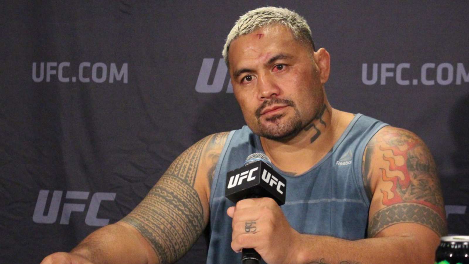 PHOTO IS IMPRESSION UFC SIGNED MARK HUNT 20X30