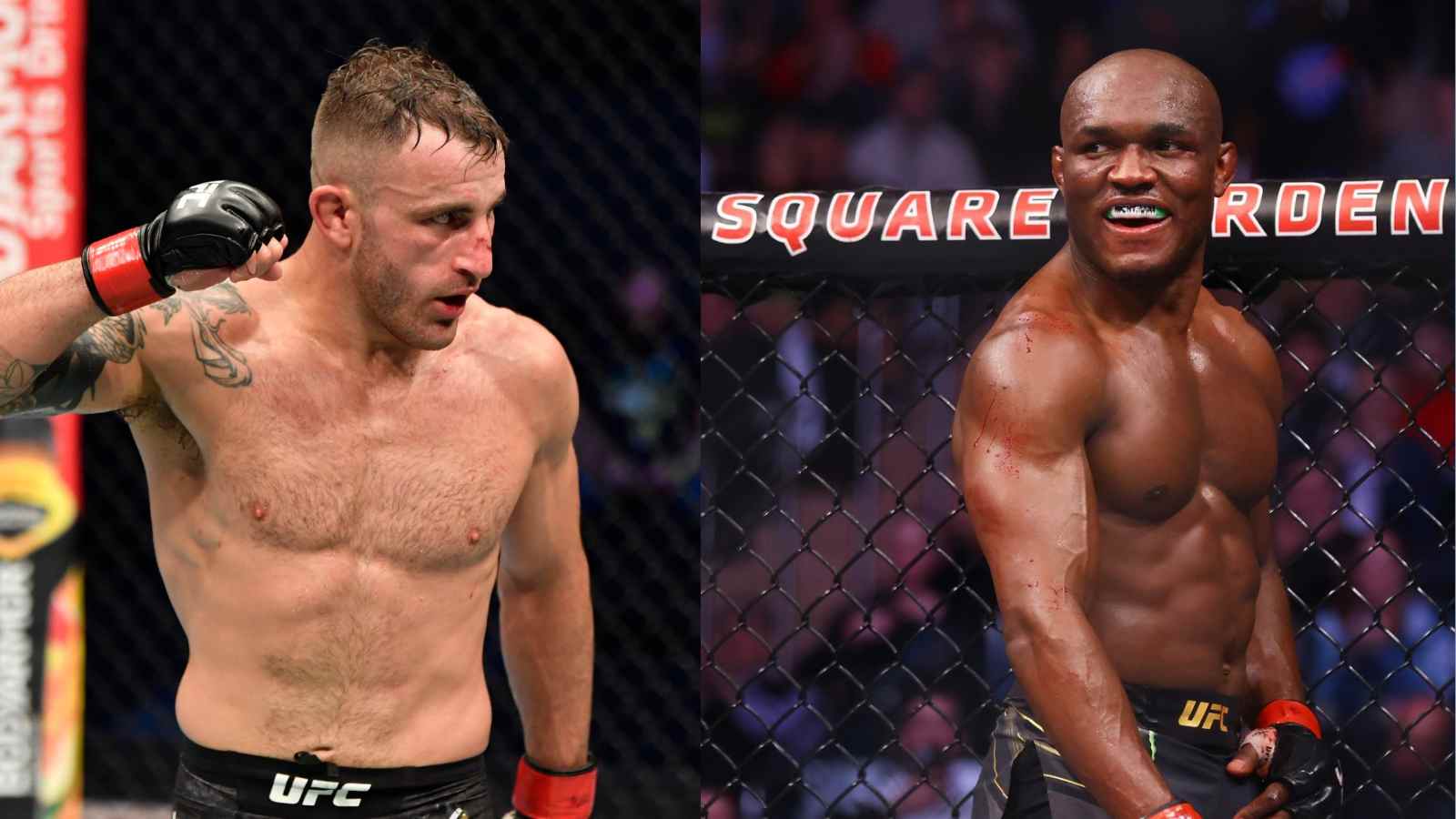 Alexander Volkanovski welterweight