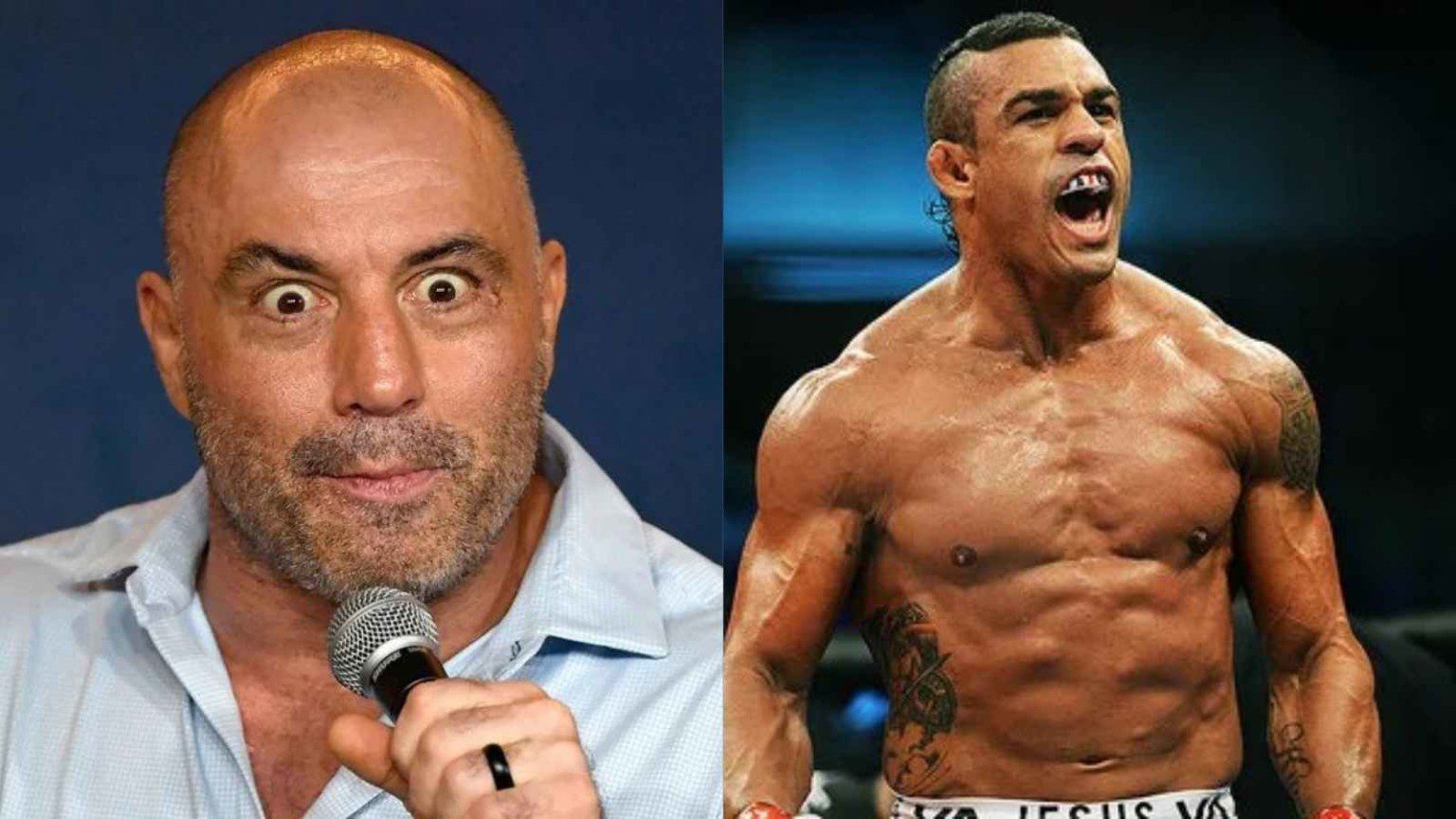 WATCH! Joe Rogan describes Vitor Belfort's insane testosterone levels