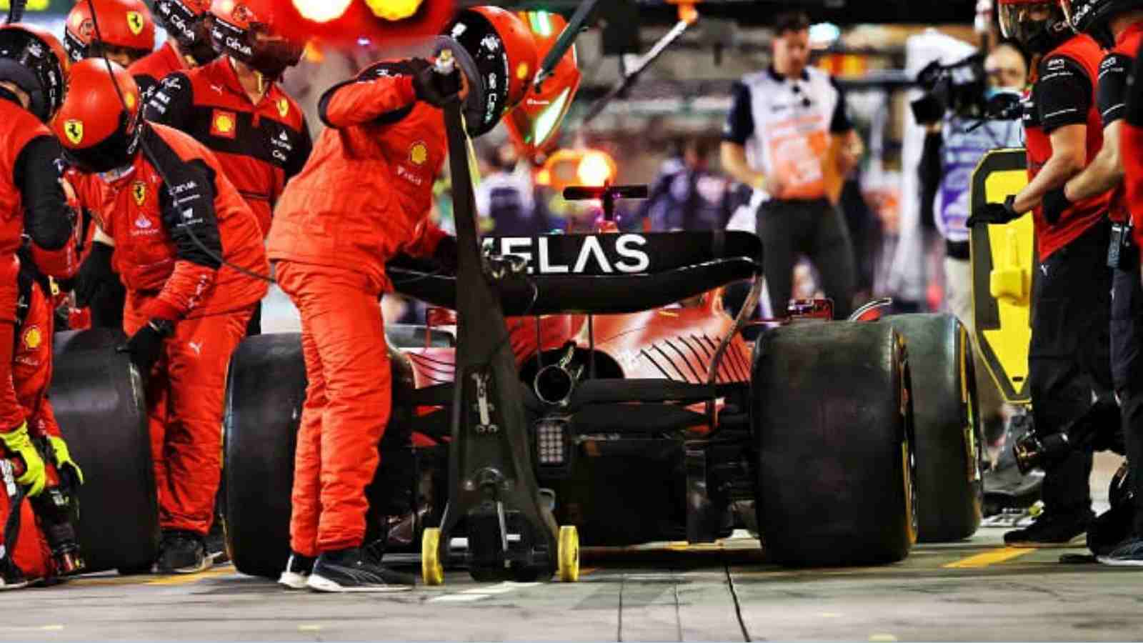 They really want Red Bull to be World Champion, They really want Red Bull to be World Champion,