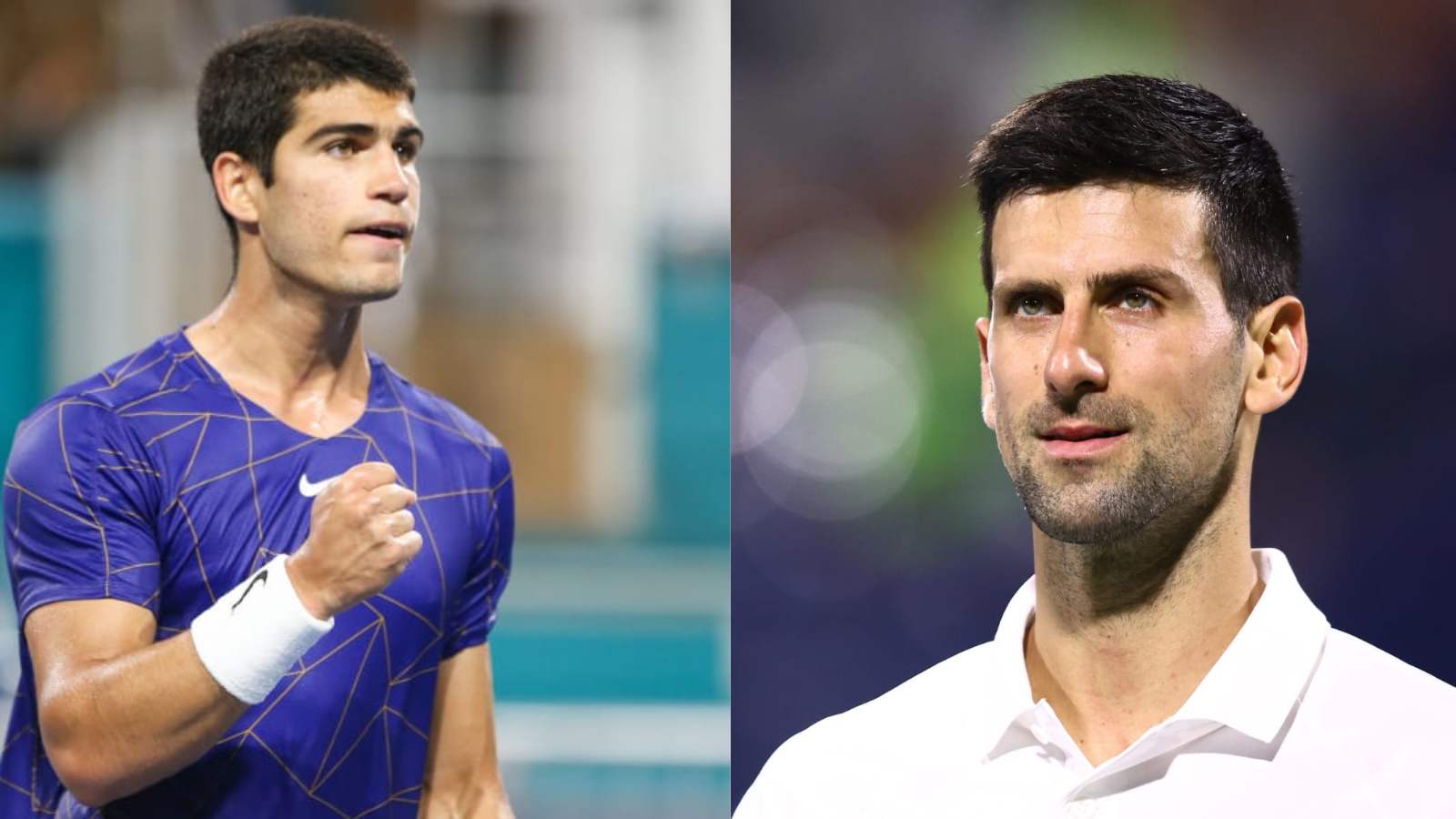 Carlos Alcaraz and Novak Djokovic | Tennis News | FirstSportz