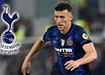 tottenham news