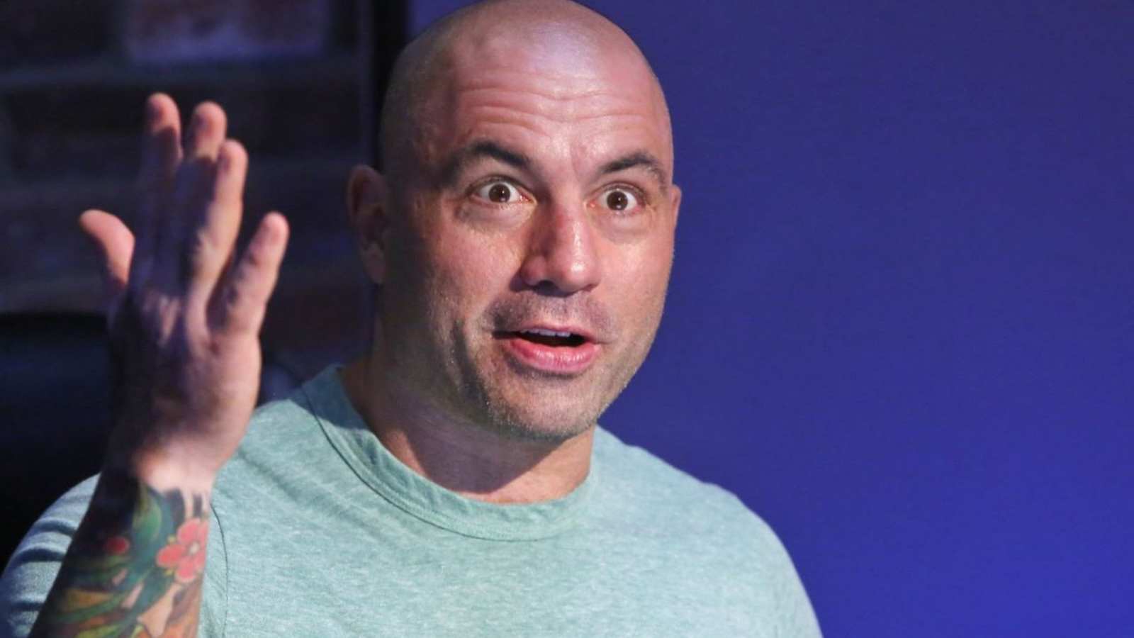 Joe Rogan Net Worth 2024, JRE Podcast Earnings, Wife, House, Parents