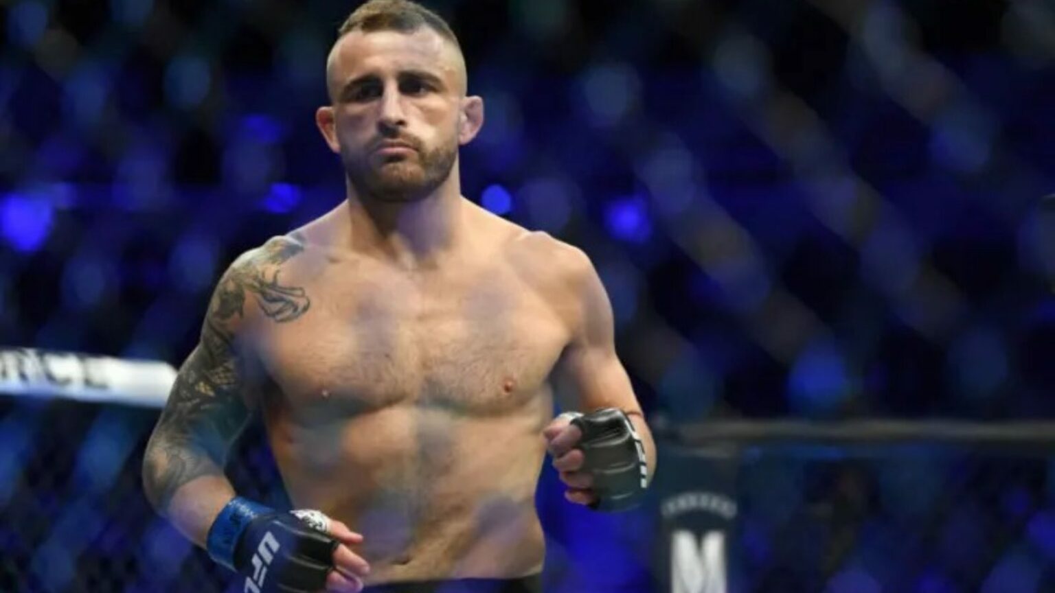 How many weight classes has Alexander Volkanovski competed in?