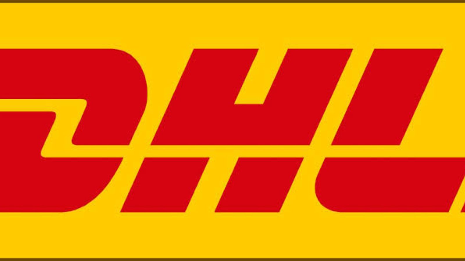 "It's just that": DHL answers to rumours of them funding South African ...