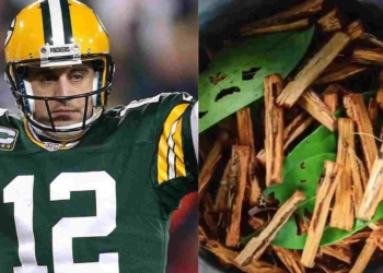 Aaron Rodgers on life since ayahuasca