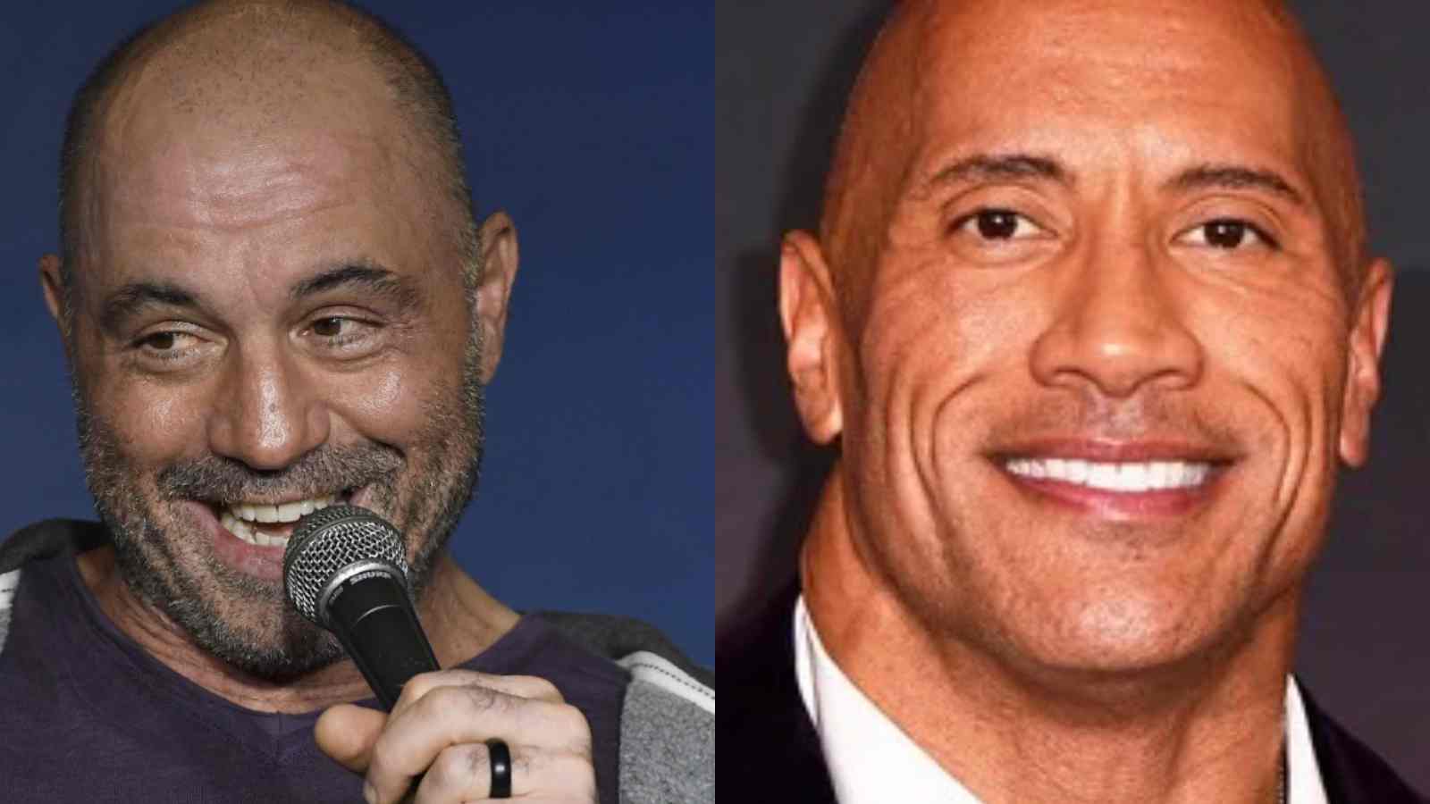 “It’s Costco sushi” - Joe Rogan and Iliza Shlesinger discuss The Rock's ...