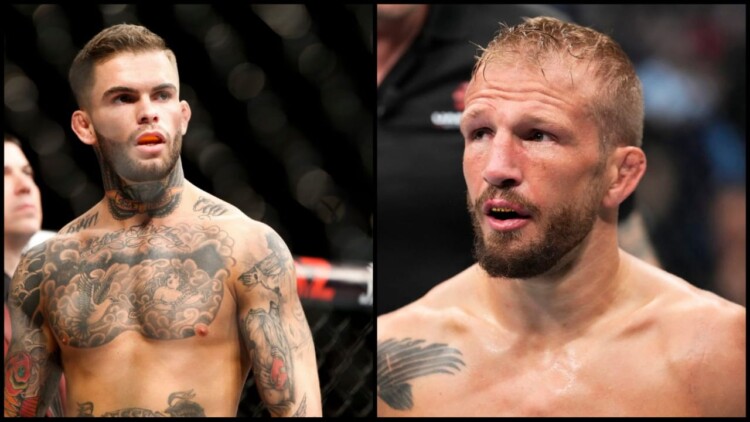 TJ Dillashaw x Cody Garbrandt