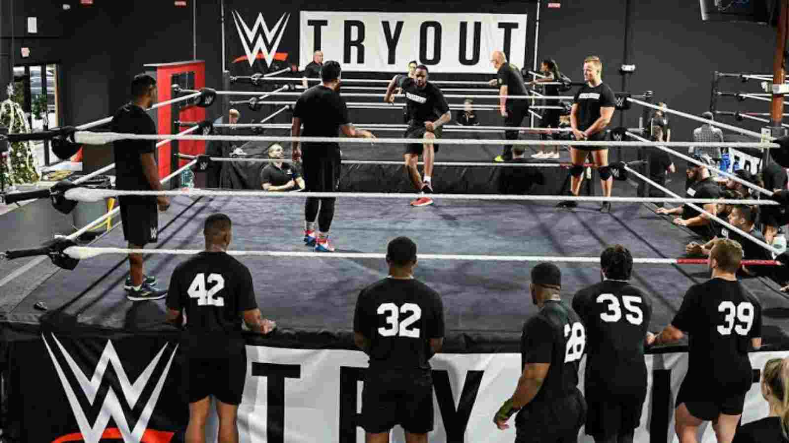 WWE Looks to EXPAND its Roots in Africa as it Starts its Search for