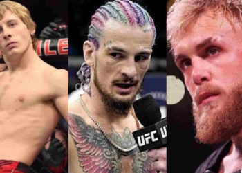 Sean O'Malley Jake Paul Paddy Pimblett