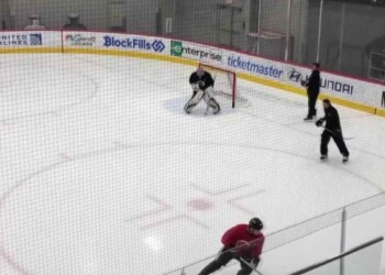 Petr Cech [Image Credit: NHL.com]