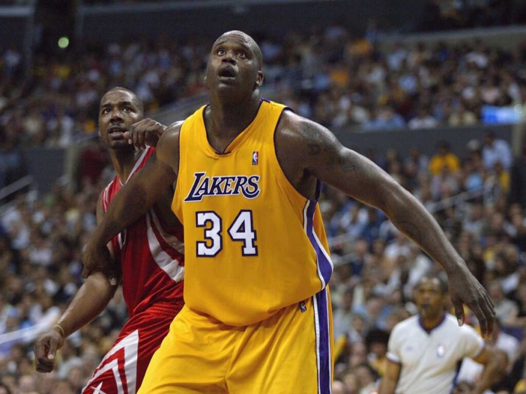 Top 10 Players with the Biggest Hands in the NBA History