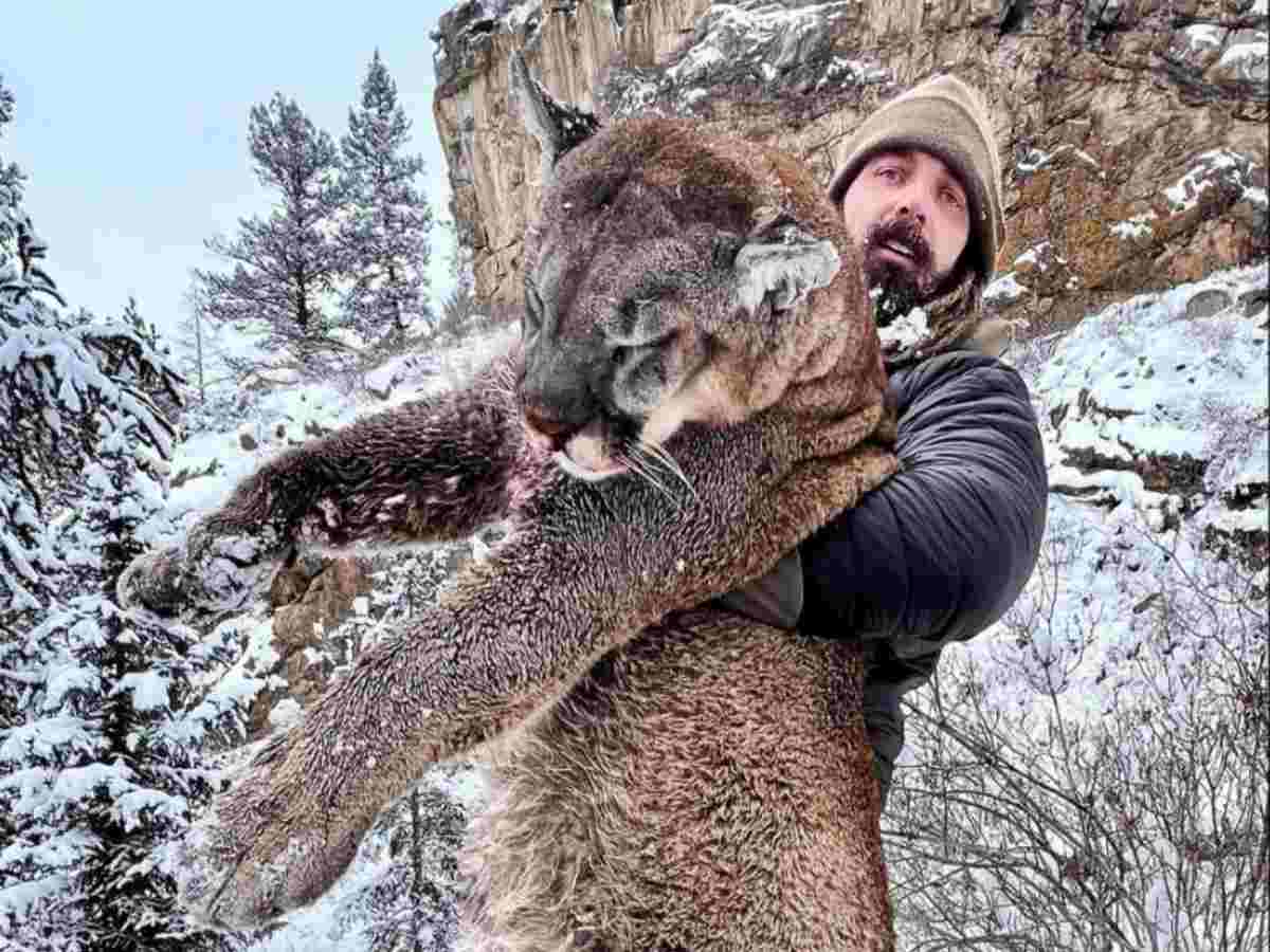 “I did NOTHING WRONG,” Former NFL Star Derek Wolfe faces BACKLASH for hunting and killing a mountain lion