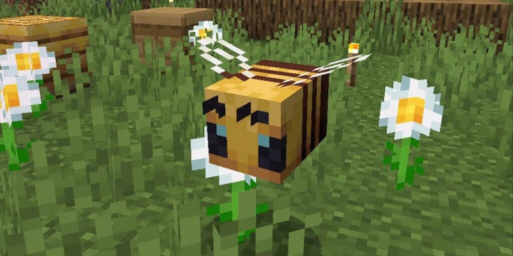 Bee Minecraft