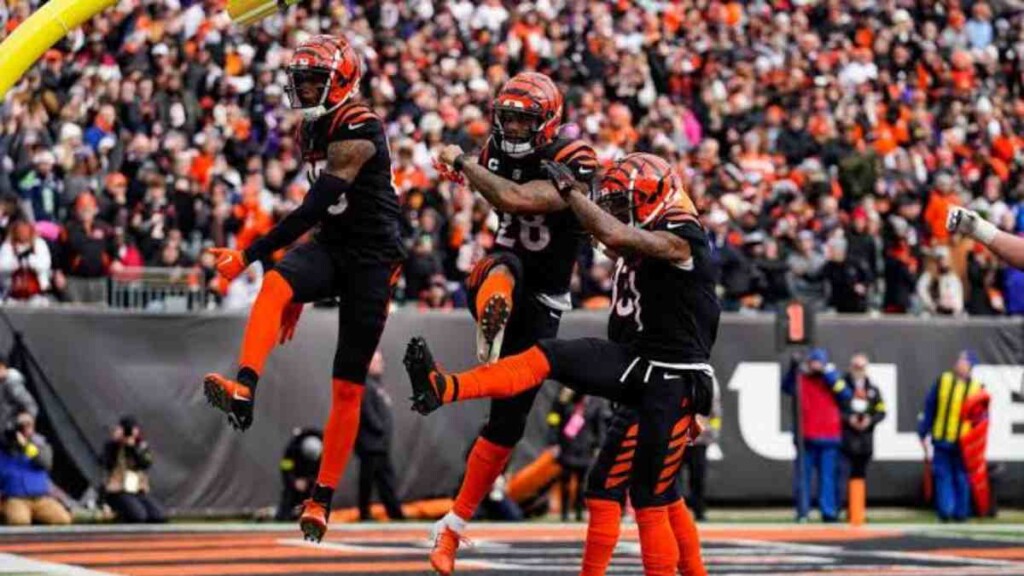 Cincinnati Bengals players celebrate