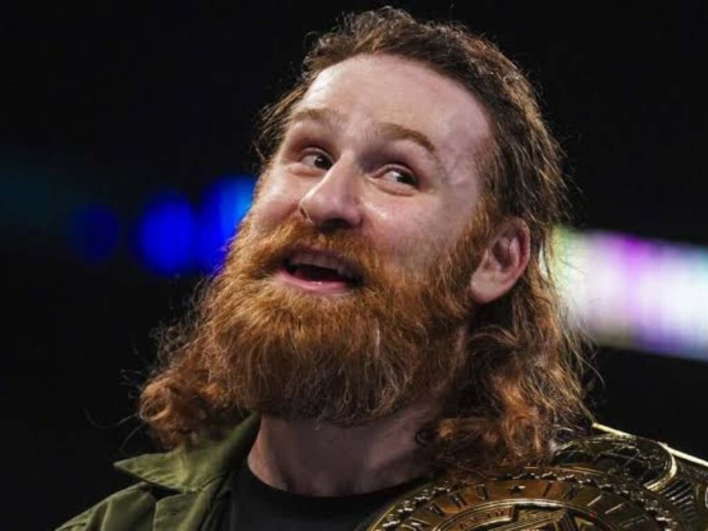 Sami Zayn