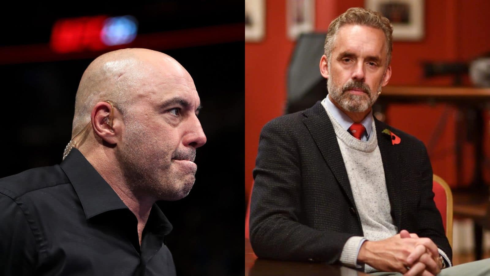 Dr Jordan Peterson blames Joe Rogan for putting his practicing license under threat